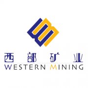 青海西部矿业集团有限公司与发彩网电伴热携手合